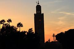 383-Marrakech,1 gennaio 2014